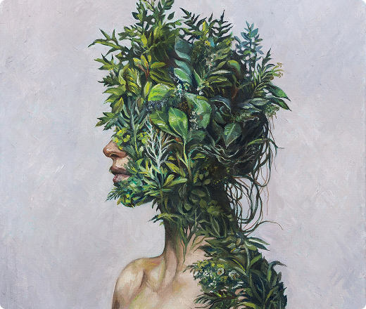 Evergreen Dreams