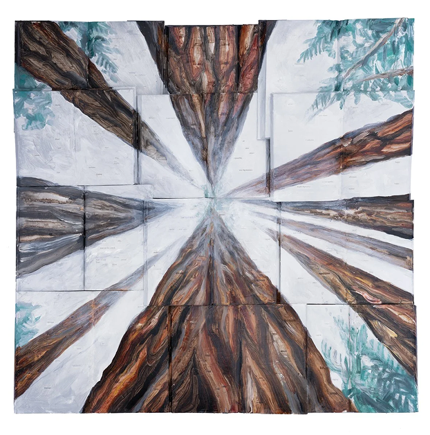 Forest Study